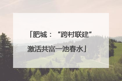 肥城：“跨村联建”激活共富一池春水