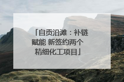 自贡沿滩：补链赋能 新签约两个精细化工项目