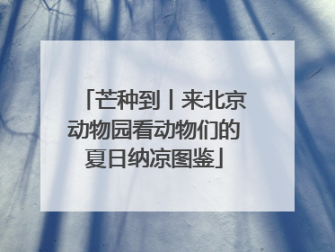 芒种到丨来北京动物园看动物们的夏日纳凉图鉴