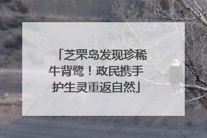 芝罘岛发现珍稀牛背鹭！政民携手护生灵重返自然