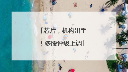 芯片，机构出手！多股评级上调