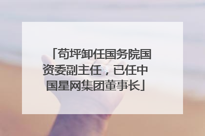 苟坪卸任国务院国资委副主任，已任中国星网集团董事长
