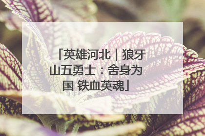 英雄河北｜狼牙山五勇士：舍身为国 铁血英魂