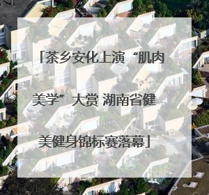 茶乡安化上演“肌肉美学”大赏 湖南省健美健身锦标赛落幕