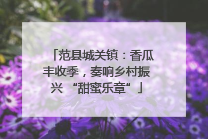 范县城关镇：香瓜丰收季，奏响乡村振兴 “甜蜜乐章”