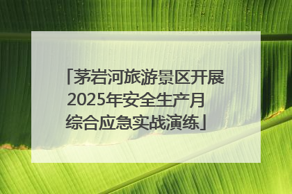 茅岩河旅游景区开展2025年安全生产月综合应急实战演练
