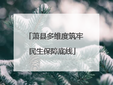 萧县多维度筑牢民生保障底线