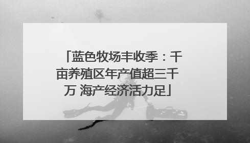 蓝色牧场丰收季：千亩养殖区年产值超三千万 海产经济活力足