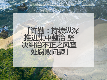 许勤：持续纵深推进集中整治 坚决纠治不正之风查处腐败问题