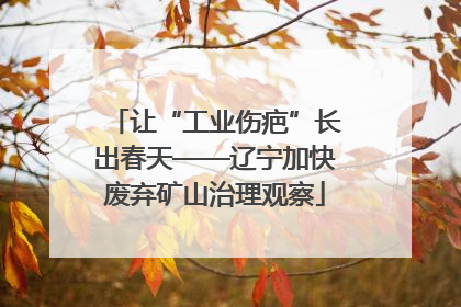 让“工业伤疤”长出春天——辽宁加快废弃矿山治理观察