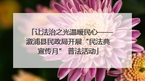 让法治之光温暖民心——溆浦县民政局开展“民法典宣传月” 普法活动