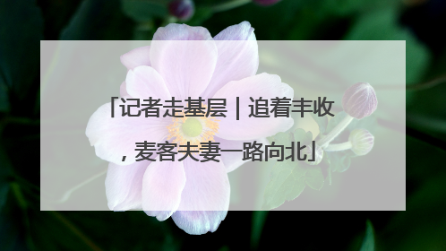 记者走基层｜追着丰收，麦客夫妻一路向北