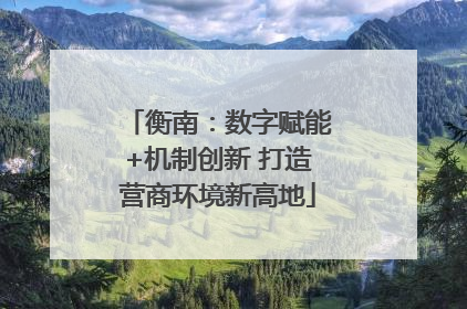 衡南：数字赋能+机制创新 打造营商环境新高地
