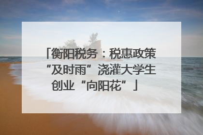 衡阳税务：税惠政策“及时雨”浇灌大学生创业“向阳花”