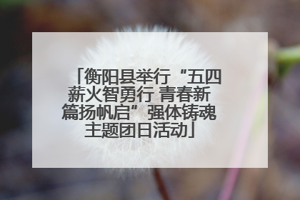 衡阳县举行“五四薪火智勇行 青春新篇扬帆启”强体铸魂主题团日活动