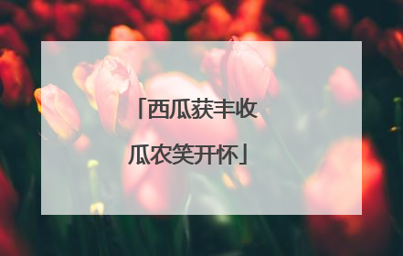 西瓜获丰收 瓜农笑开怀