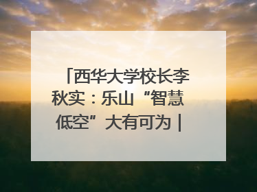 西华大学校长李秋实：乐山“智慧低空”大有可为｜西望四川