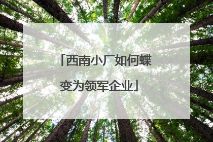 西南小厂如何蝶变为领军企业