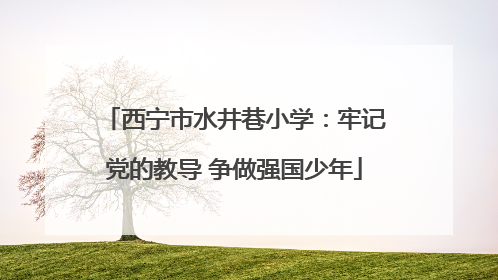 西宁市水井巷小学：牢记党的教导 争做强国少年