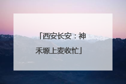 西安长安：神禾塬上麦收忙