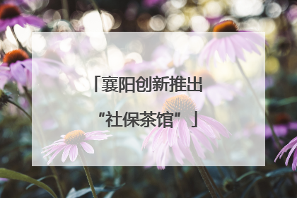 襄阳创新推出“社保茶馆”