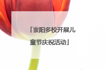 襄阳多校开展儿童节庆祝活动