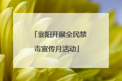襄阳开展全民禁毒宣传月活动