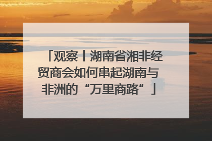 观察丨湖南省湘非经贸商会如何串起湖南与非洲的“万里商路”