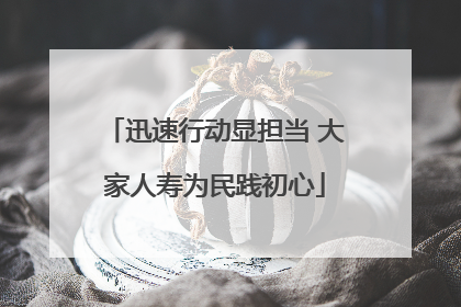 迅速行动显担当 大家人寿为民践初心