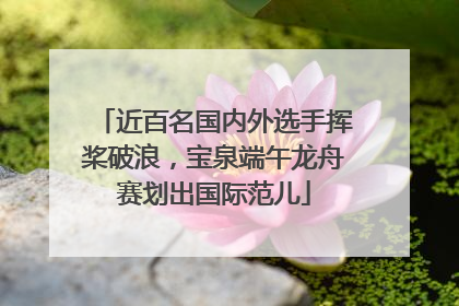 近百名国内外选手挥桨破浪，宝泉端午龙舟赛划出国际范儿