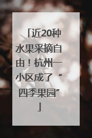 近20种水果采摘自由！杭州一小区成了“四季果园”