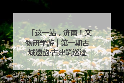 这一站，济南！文物研学游｜第一期古城遗韵·古建筑巡迹之旅圆满结束
