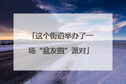 这个街道举办了一场“盆友圈”派对