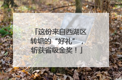 这份来自西湖区转塘的“好礼”，斩获省级金奖！