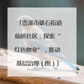 贵溪市雄石街道仙桥社区：探索“红色物业”，推动基层治理（图）