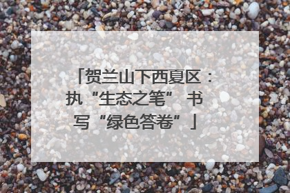 贺兰山下西夏区：执“生态之笔” 书写“绿色答卷”