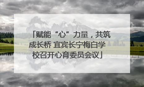 赋能“心”力量，共筑成长桥 宜宾长宁梅白学校召开心育委员会议