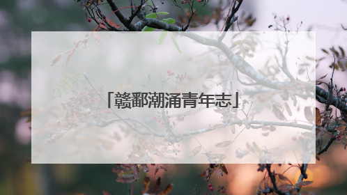 赣鄱潮涌青年志