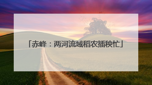 赤峰：两河流域稻农插秧忙
