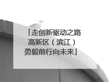 走创新驱动之路 高新区（滨江）勇毅前行向未来
