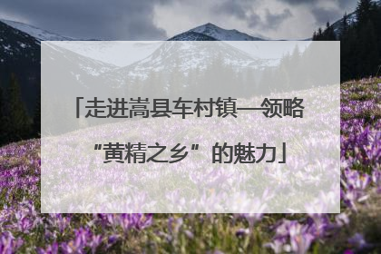 走进嵩县车村镇—领略“黄精之乡”的魅力