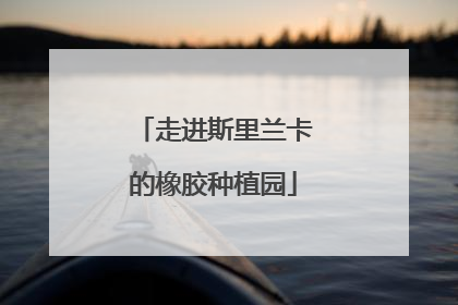 走进斯里兰卡的橡胶种植园
