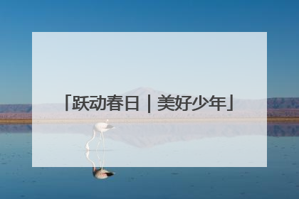 跃动春日｜美好少年