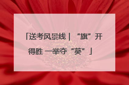 送考风景线｜“旗”开得胜 一举夺“葵”