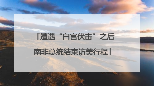 遭遇“白宫伏击”之后 南非总统结束访美行程