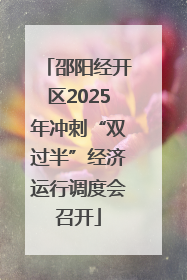 邵阳经开区2025年冲刺“双过半”经济运行调度会召开