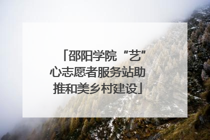 邵阳学院“艺”心志愿者服务站助推和美乡村建设