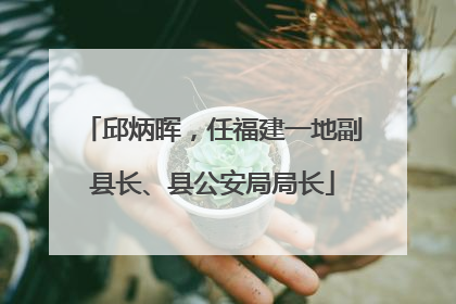 邱炳晖，任福建一地副县长、县公安局局长