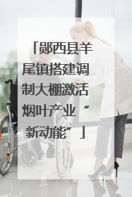 郧西县羊尾镇搭建调制大棚激活烟叶产业“新动能”