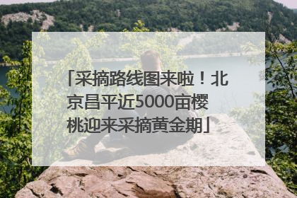 采摘路线图来啦！北京昌平近5000亩樱桃迎来采摘黄金期